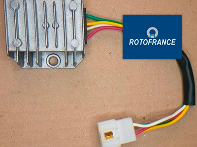 Capacitación Rotofrance: Reguladores de Voltaje 'Contínua+Alterna'